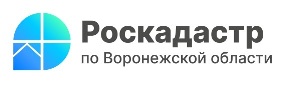 Почти 3 тысячи объектов культурного наследия Воронежской области внесено в ЕГРН.