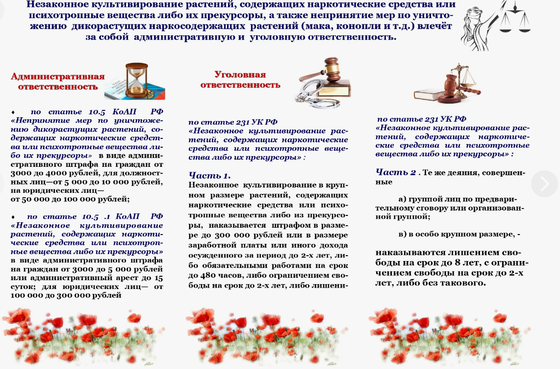 Незаконное культивирование наркосодержащих культур.